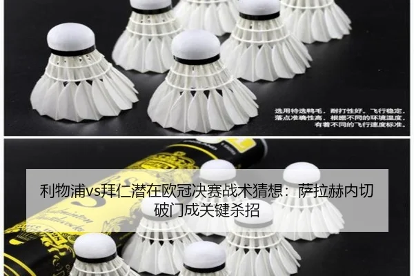 li-wu-pu-bai-ren-qian-zai-ou-guan-jue-sai-zhan-shu-cai-xiang-sa-la-he-nei-qie-po-men-cheng-guan-jian-sha-zhao-2-451.jpg